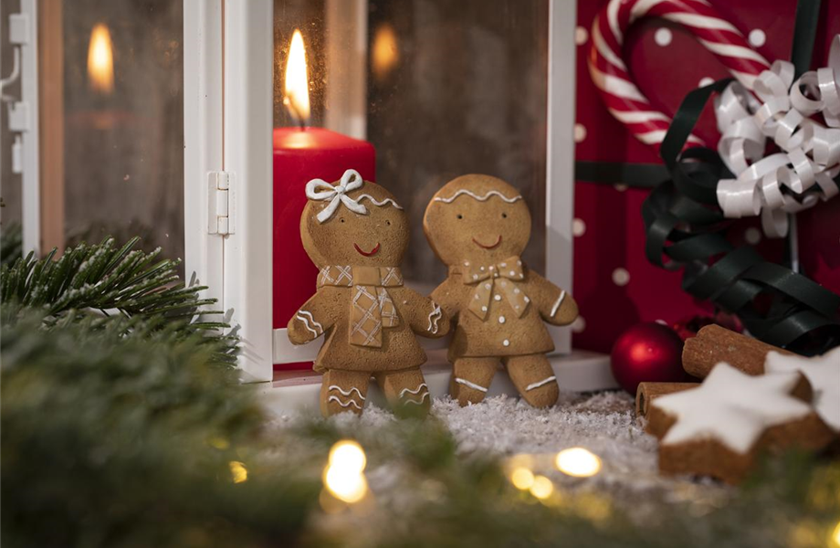 Weihnachtliche Stimmung im Garten